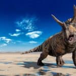 dinosaurios herbivoros