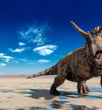 dinosaurios herbivoros